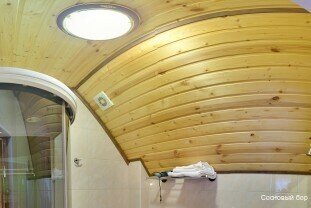 Гостиница Сосновый бор Ижевск-130