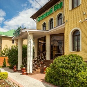 Гостиница Сосновый бор Ижевск-178