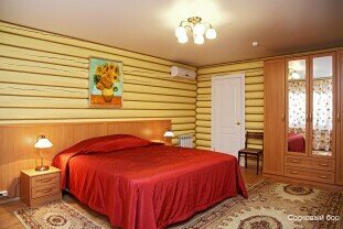 Гостиница Сосновый бор Ижевск-50