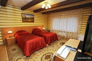 Гостиница Сосновый бор Ижевск-123