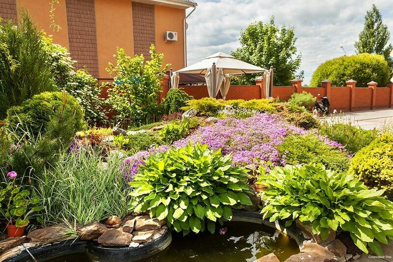 Гостиница Сосновый бор Ижевск-12