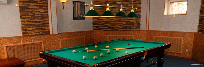 Гостиница Сосновый бор Ижевск-156