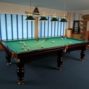 Гостиница Сосновый бор Ижевск-225