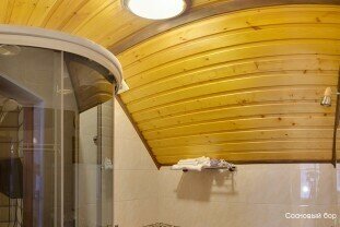 Гостиница Сосновый бор Ижевск