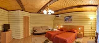 Гостиница Сосновый бор Ижевск Двухместный номер «Комфорт» с 1 кроватью или 2 отдельными кроватями-6