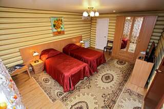 Гостиница Сосновый бор Ижевск Стандартный двухместный номер с 1 кроватью или 2 отдельными кроватями-5