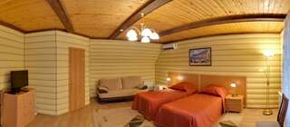 Гостиница Сосновый бор Ижевск Улучшенный номер с кроватью размера «king-size» или 2 отдельными кроватями-2