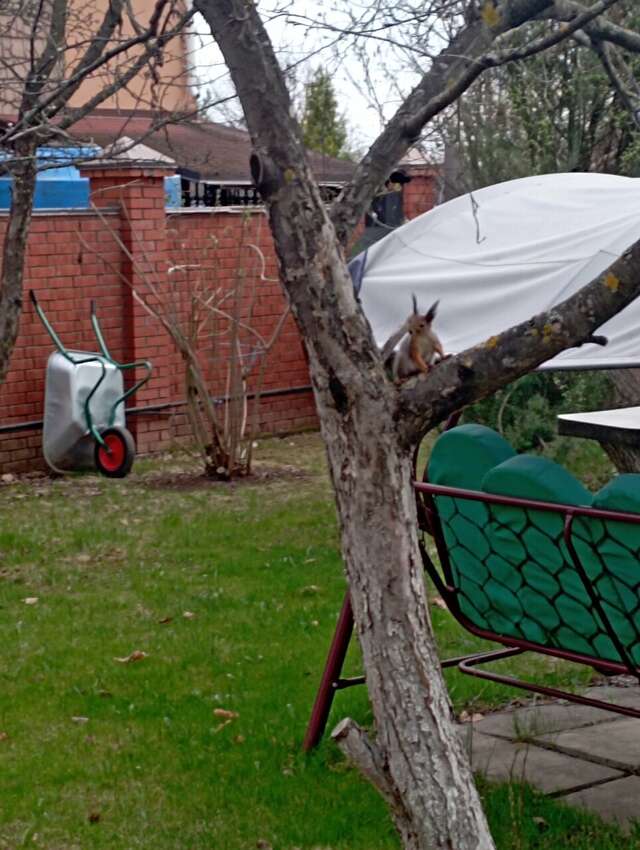 Гостиница Сосновый бор Ижевск-160