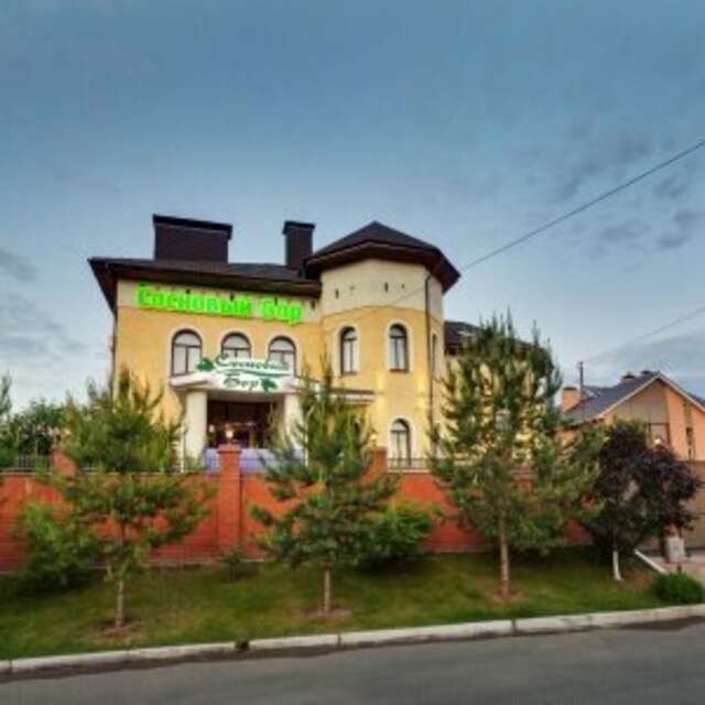 Гостиница Сосновый бор Ижевск-170